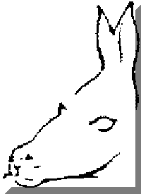 donkeyorseal.gif (1592 bytes)